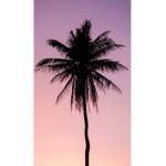 Zzfleur