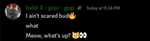 Meow, what's up