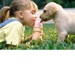 Help Animals <3