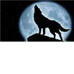 Dark Steel Wolves