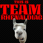 Team rhenaldiag
