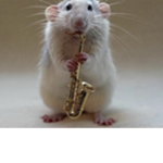Cøøkies før da rats
