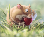 Bunch-O-Fluffynuts