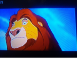 FRIENDLY LIONS