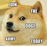 doge gaming
