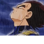Vegeta’s Saiyan Elite Badge Collector Force