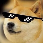 Doge_Studios_