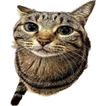 NixLeft