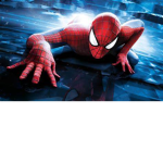 spider-fan
