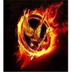 The HungerGames (Custom)