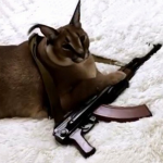 Floppa Enterprise