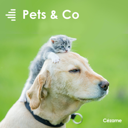 In the Saddle Roblox music