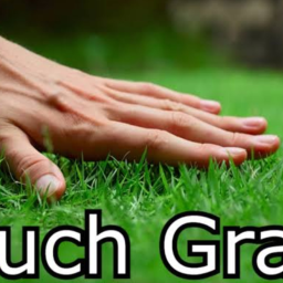 A litteral piece of grass that you need to touch