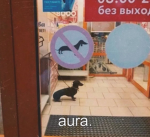 Lorem Ipsum.