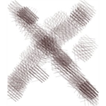 X Corparation