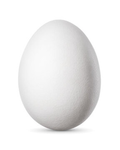 TRASHIEZ EGG RAID COMMUNITY