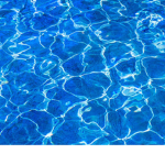 The pool fan club