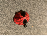 Spiderman into the spider verse group