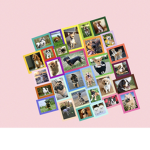 Angel's Puppy Group