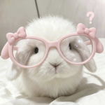 fmeow