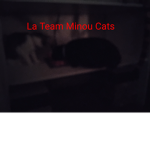 La Team Minou Cats