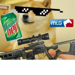 The gamer doges