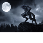 The WereWolf Lovers