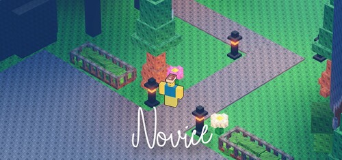 🪩 Novice [WIP]