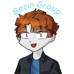 Bacin Group
