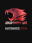 Katowice 2014