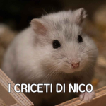 ~I CRICETI STUDIOS~
