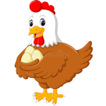 Chicken (Fan Groups)