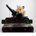 THE OFFICIAL HAMSTER ARMY