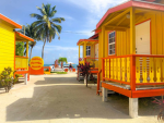 Jessi's Tropical Paradise!
