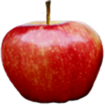 Apple Fan!