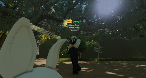 +250 [Free Coil+AVA] Mount Feels