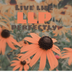 LLP Live Life Perfectly