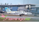 Flamingo Airlines Offical