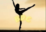 Bellasdance company