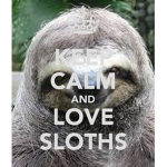 Sloe Sloth Records