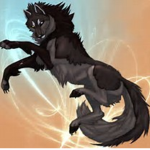 Wolfyboyplayz07 Official group.