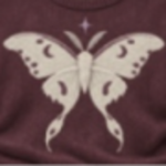 moth & midnight