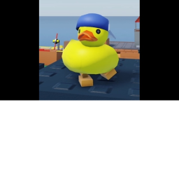 duck time