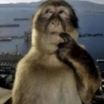 Aron’s group