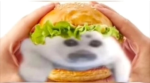 -~- Da Memez -~-