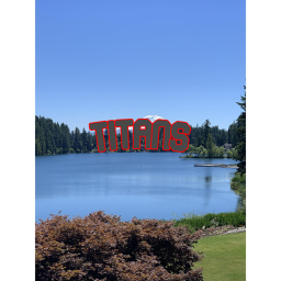 Maple Valley Arena