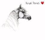|Royal ponies|
