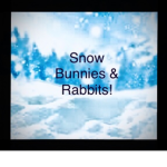 Snow Bunnies & Rabbits!