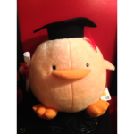 Ducky Highschool