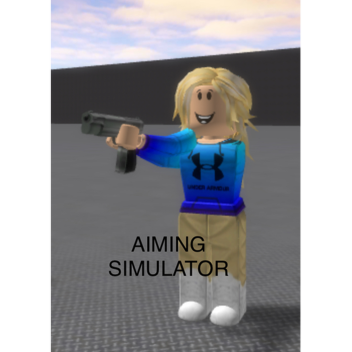 Aiming simulator!